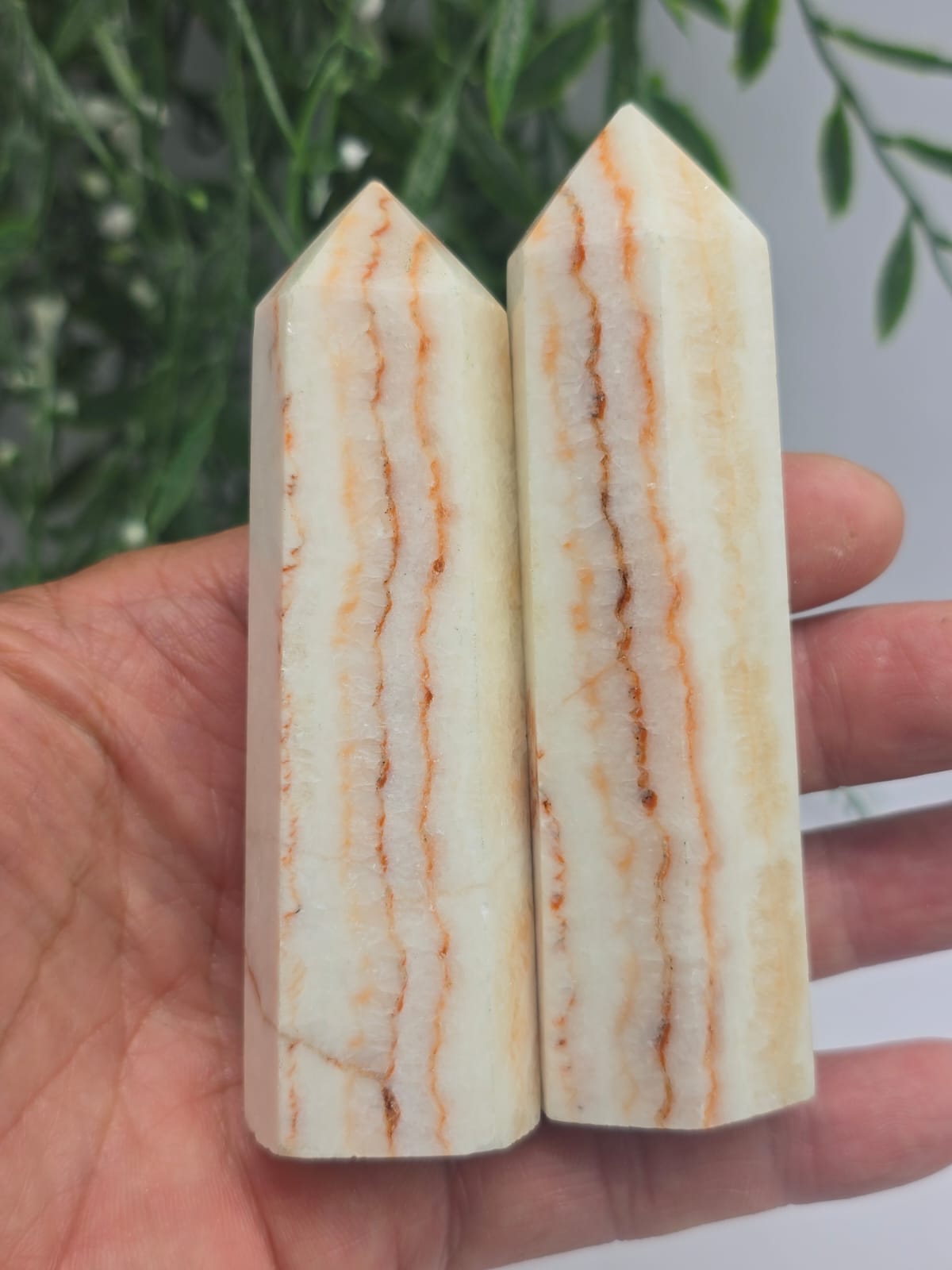 Dali Jasper Point Crystal Wellness
