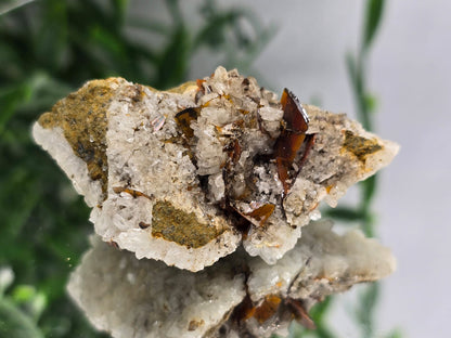 Rare Brookite Crystal 38g Crystal Wellness