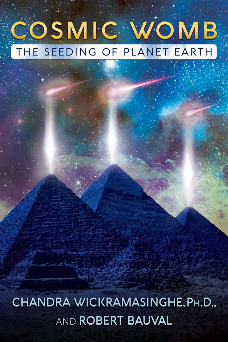 COSMIC WOMB Crystal Wellness