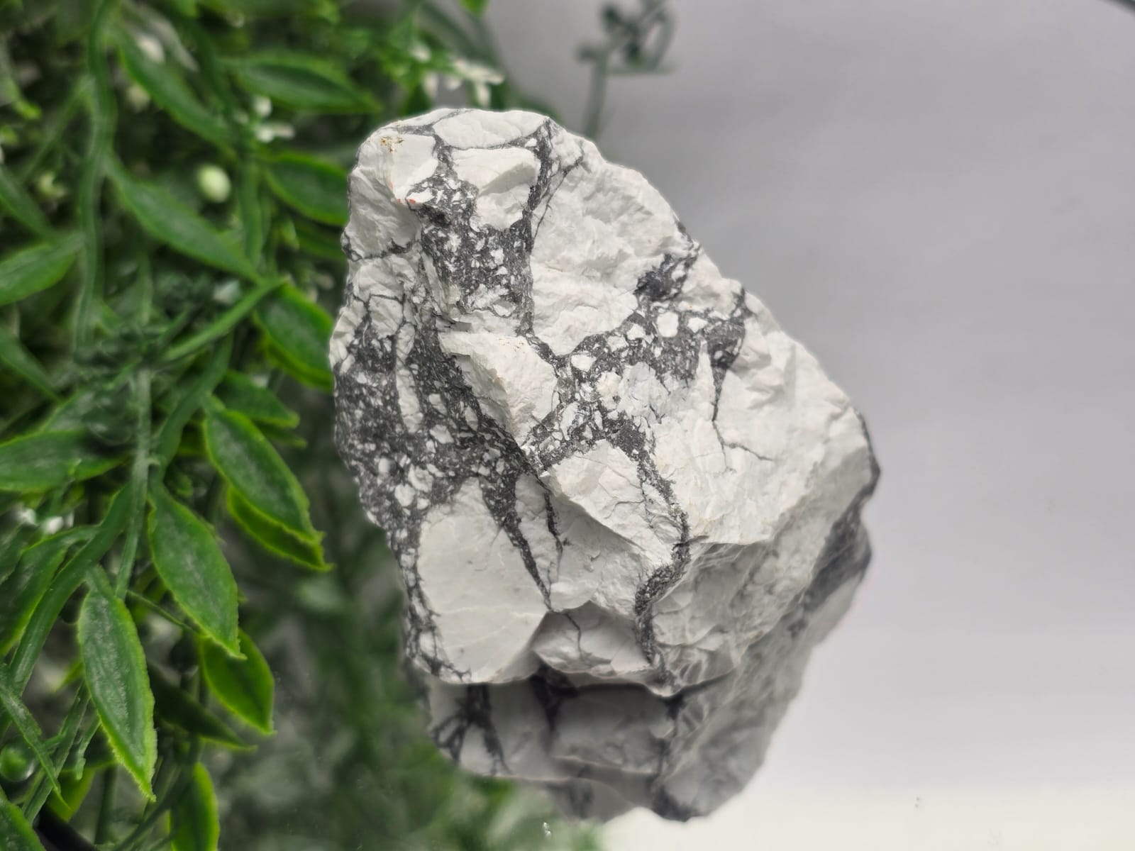 Howlite Raw Crystal Wellness