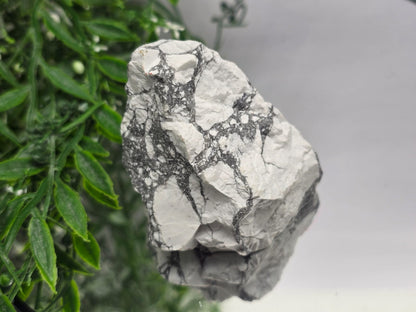 Howlite Raw Crystal Wellness