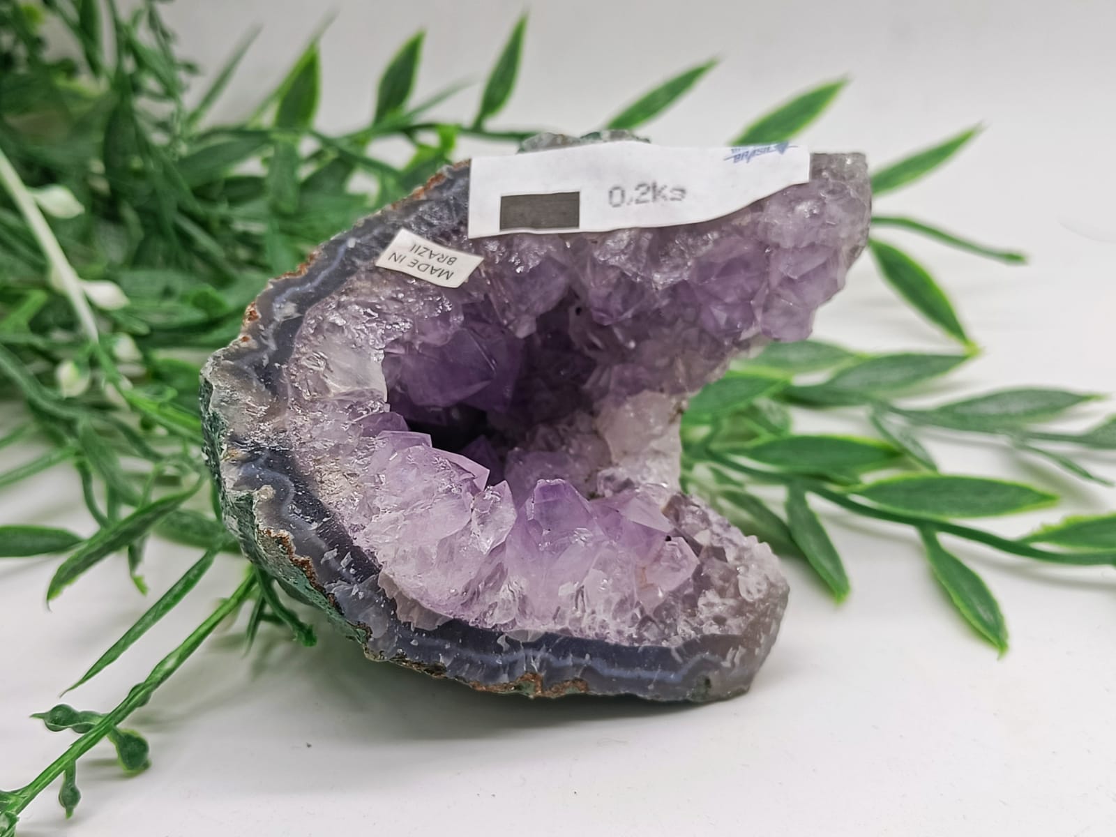 Beautiful Amethyst Natural Shapes 9x7x6cm Crystal Wellness