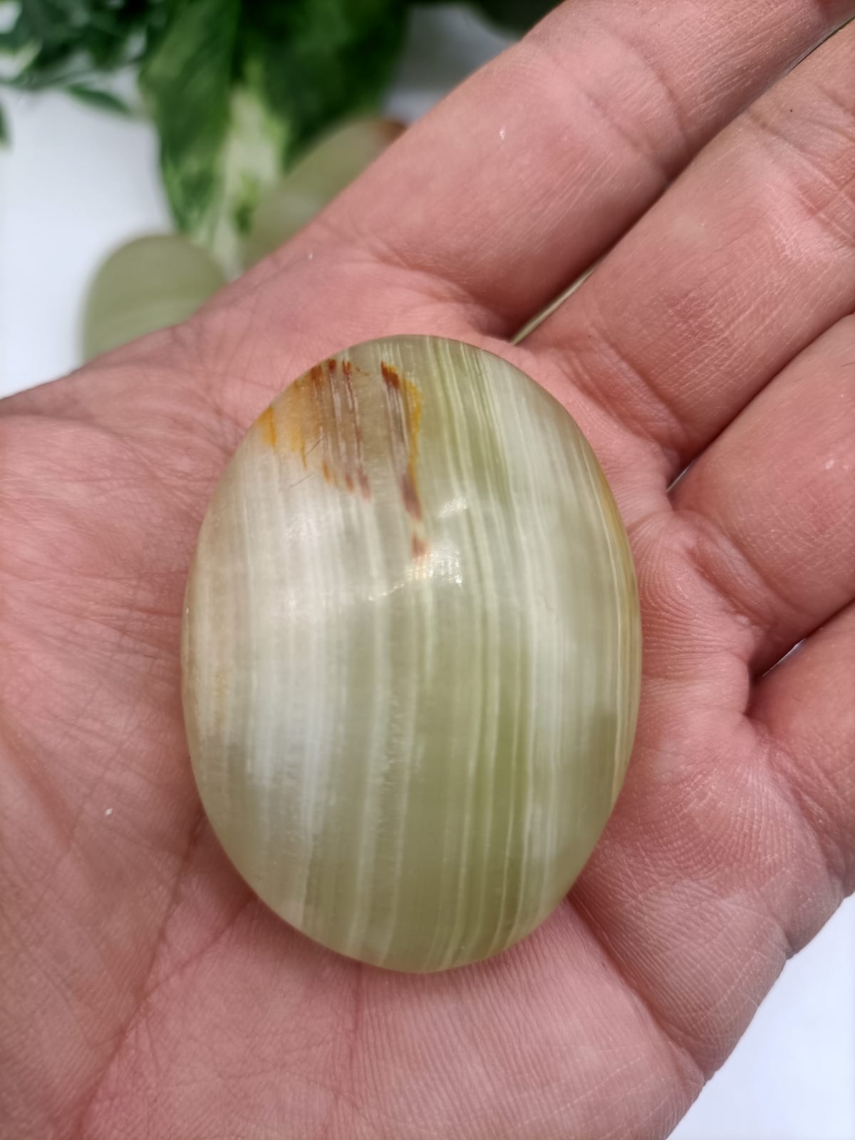 Jade Palm Stone Crystal Wellness