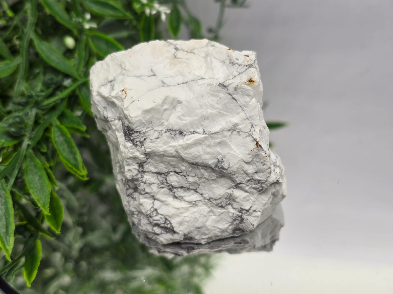 Howlite Raw Crystal Wellness
