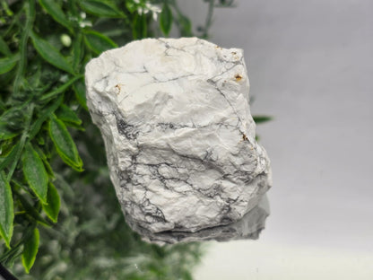 Howlite Raw Crystal Wellness