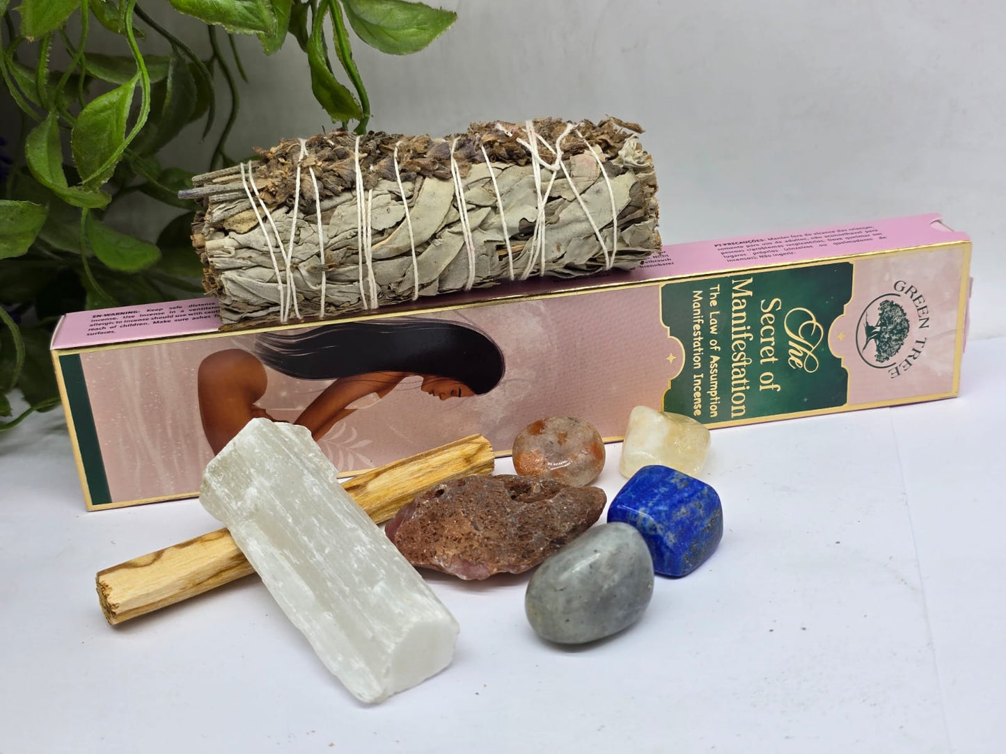 Lion's Gate Portal Gift Set for Manifestation Crystal Wellness