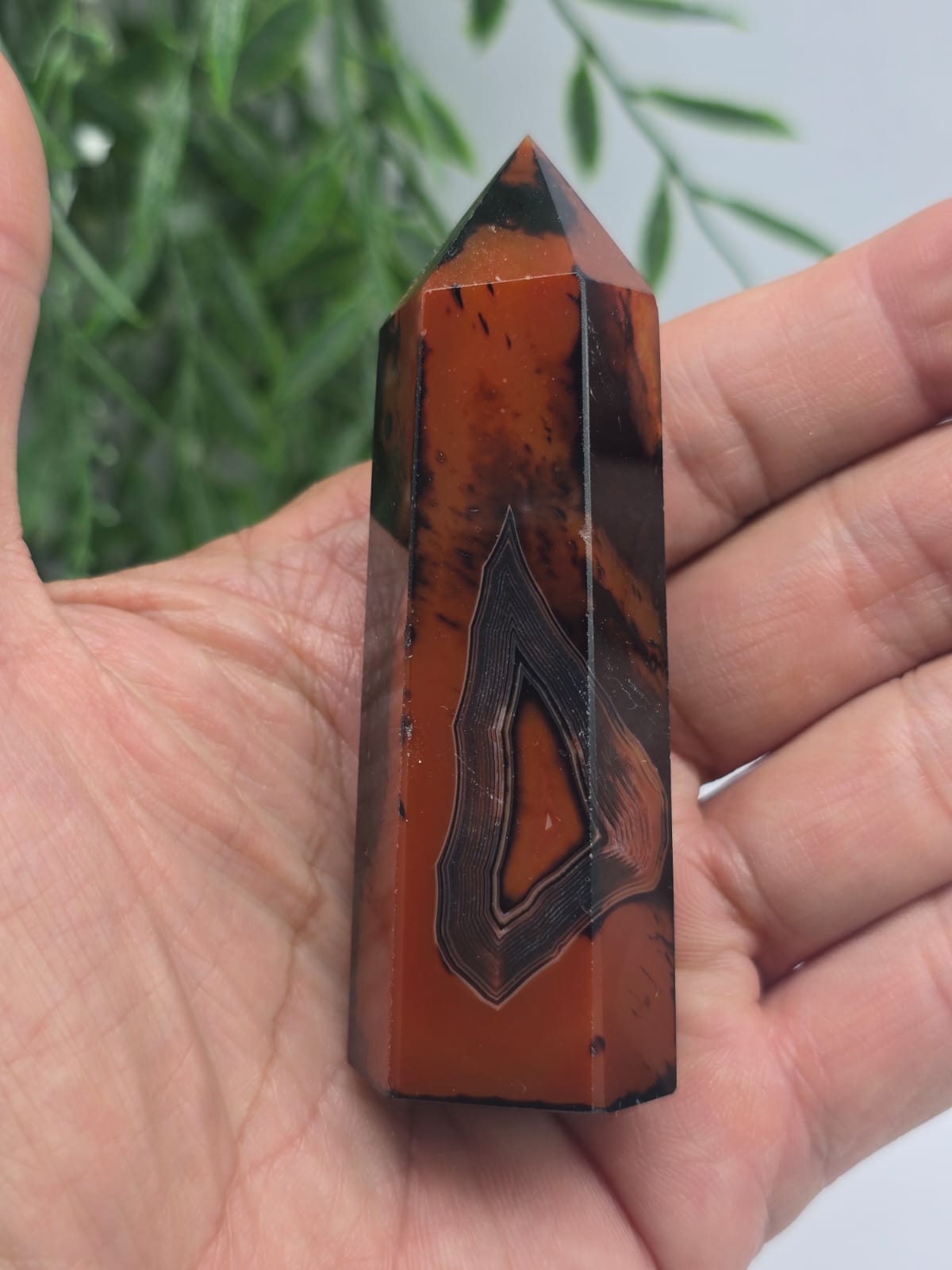 Sardonyx Point Crystal Wellness