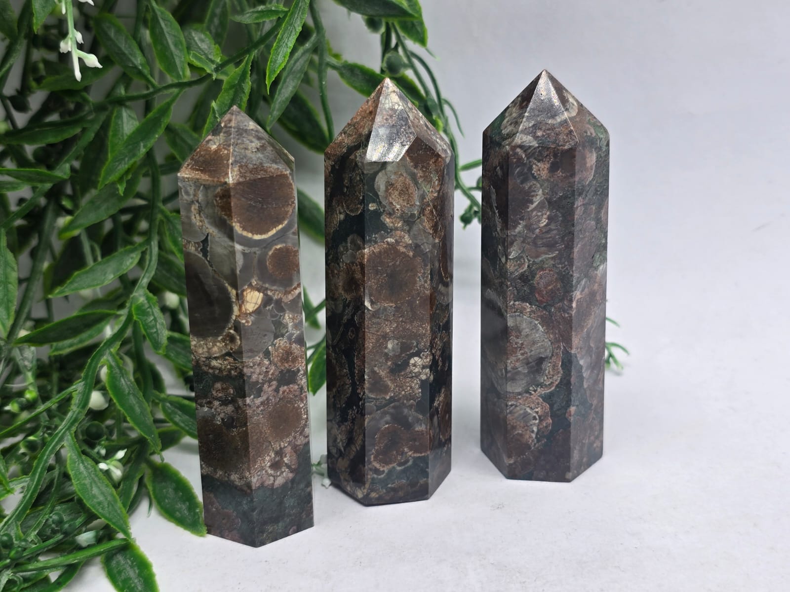 Fossil Agate Point Crystal Wellness