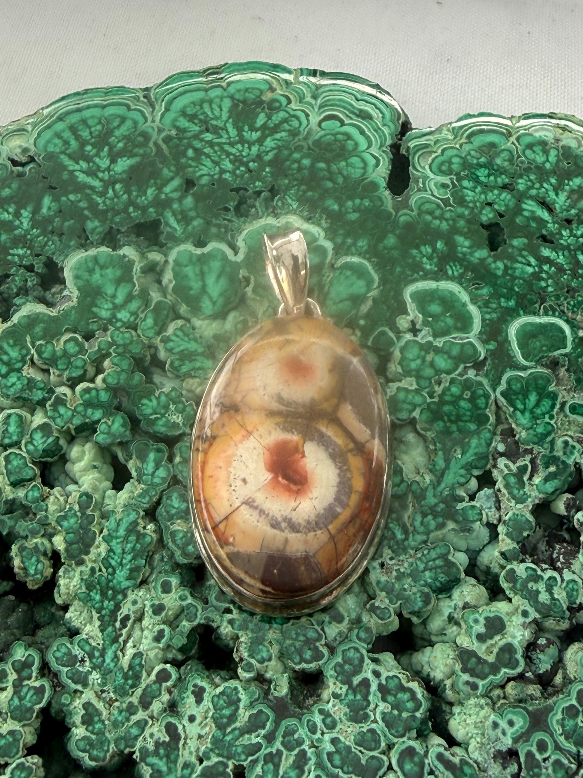 Earth’s Quiet Vision — Bird’s Eye Jasper Silver Pendant 42mmx25mm Crystal Wellness