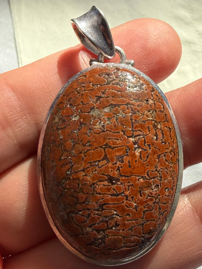 Ancient Legacy Dinosaur Bone Sterling Silver Pendant 38mmx27mm Crystal Wellness