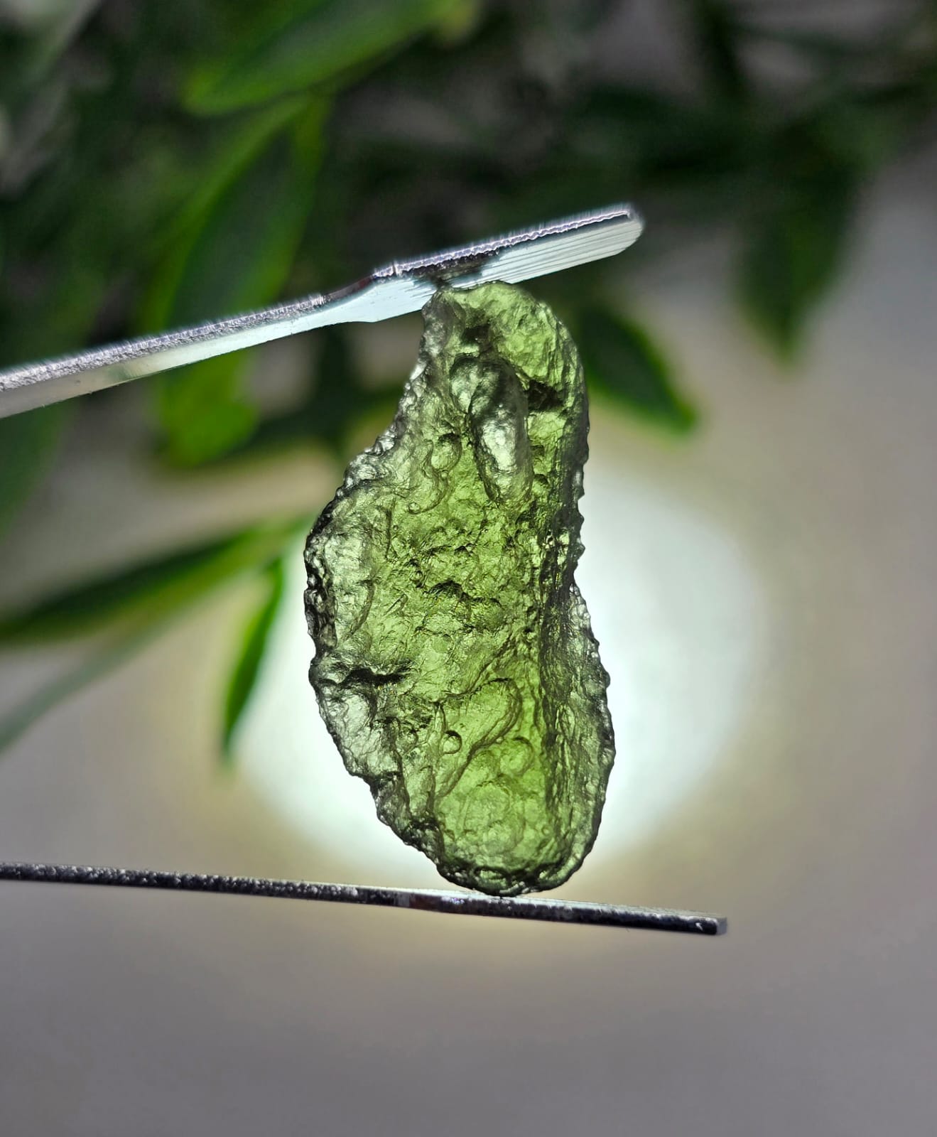 Authentic Moldavite 2.16g 26x13x6mm Crystal Wellness