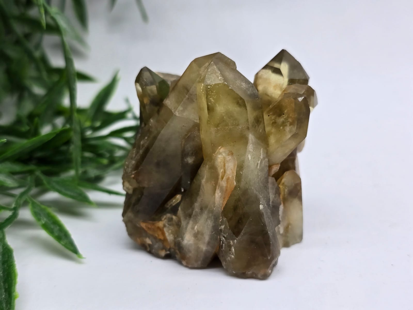 Citrine Cluster 0.253 Grams Crystal Wellness