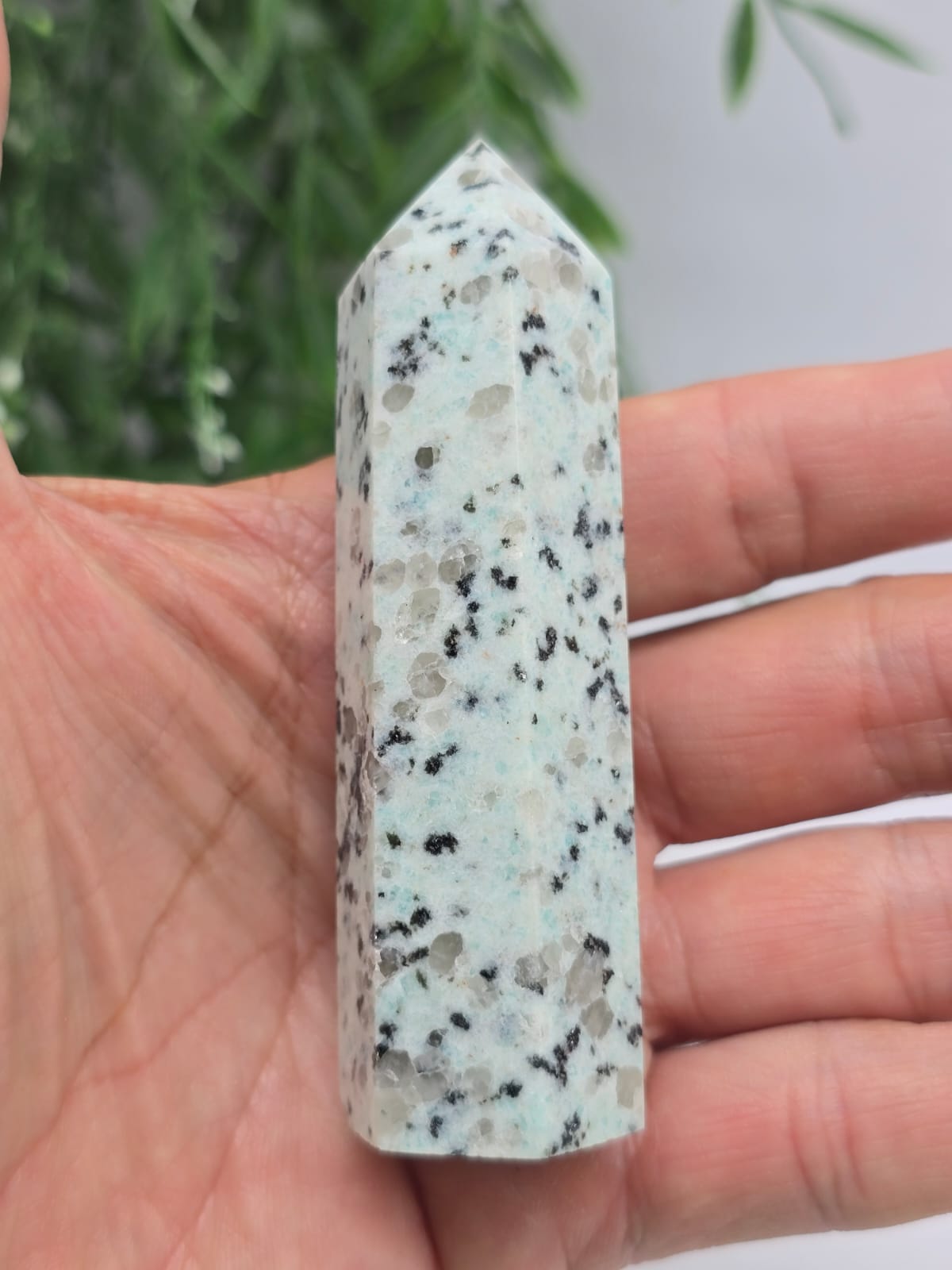 Kiwi Jasper Point Crystal Wellness
