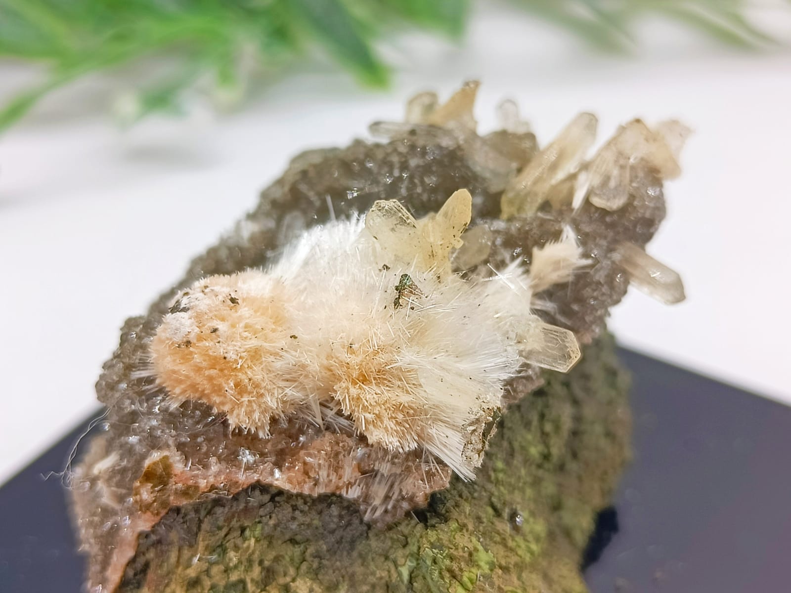 Thomsonite with Natrolite and Mesolite Spikes 50x37x37 Crystal Wellness