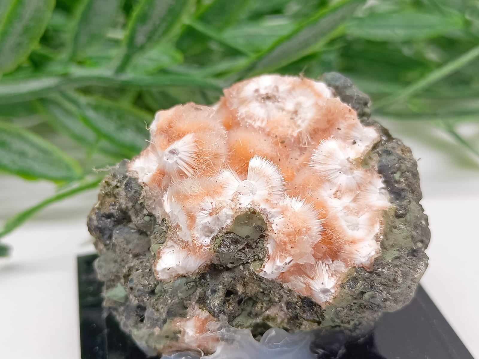 Orange Thomsonite with Mesolite Spikes AAA Grade 41x40x30mm Crystal Wellness