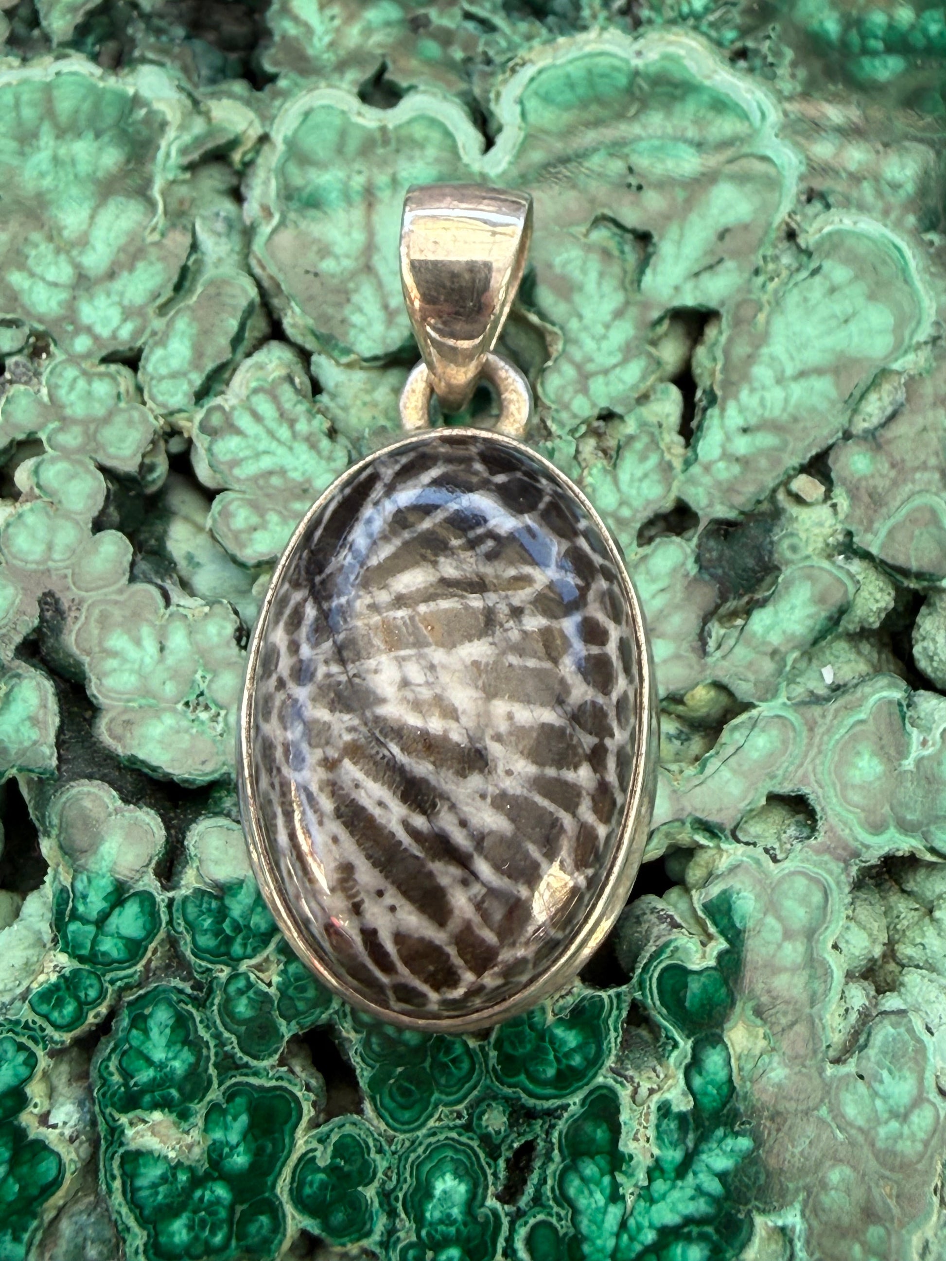Ocean Guardian Black Coral Pendant 22mmx15mm Crystal Wellness