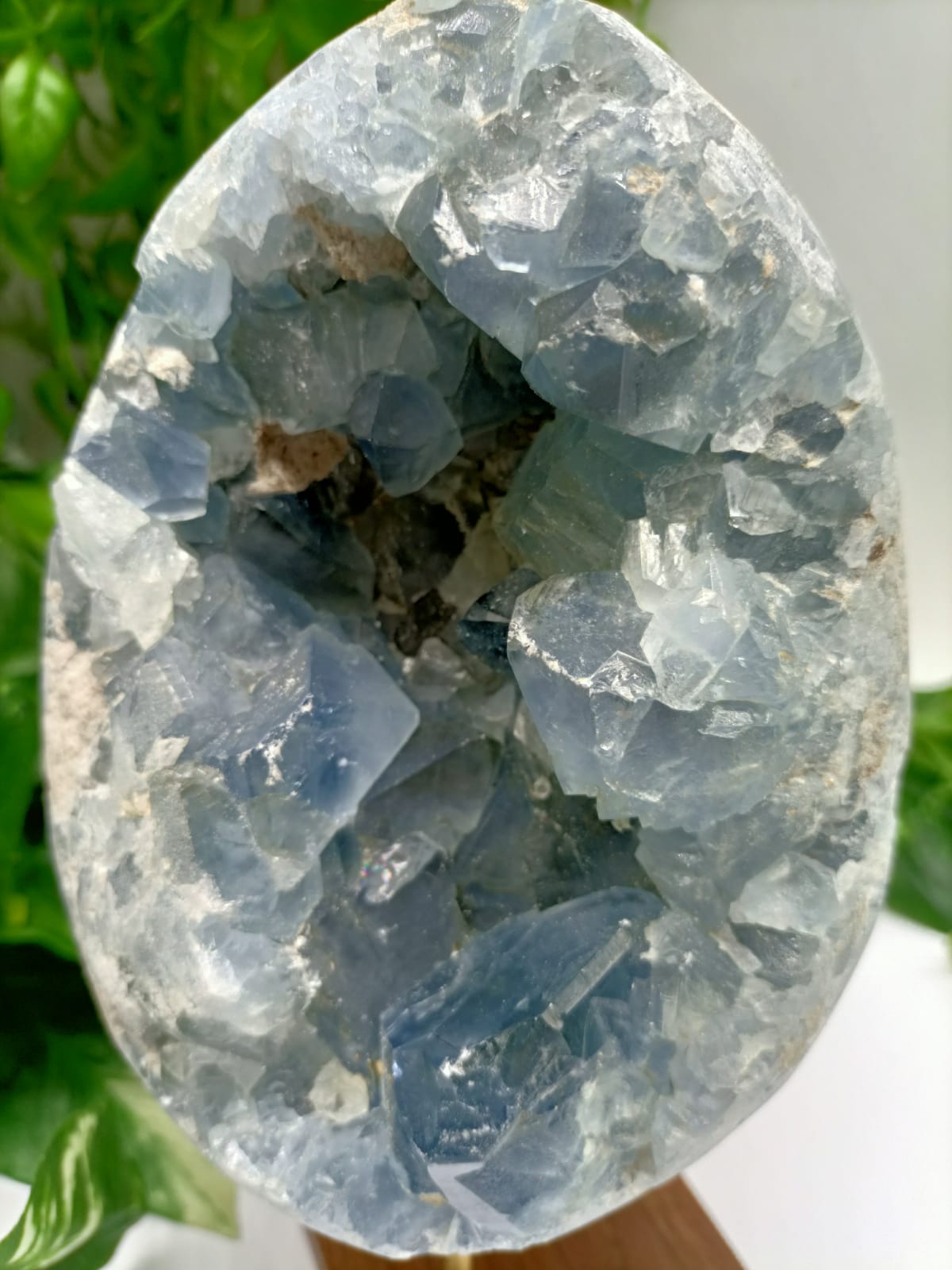 Celestite Geode Crystal Wellness