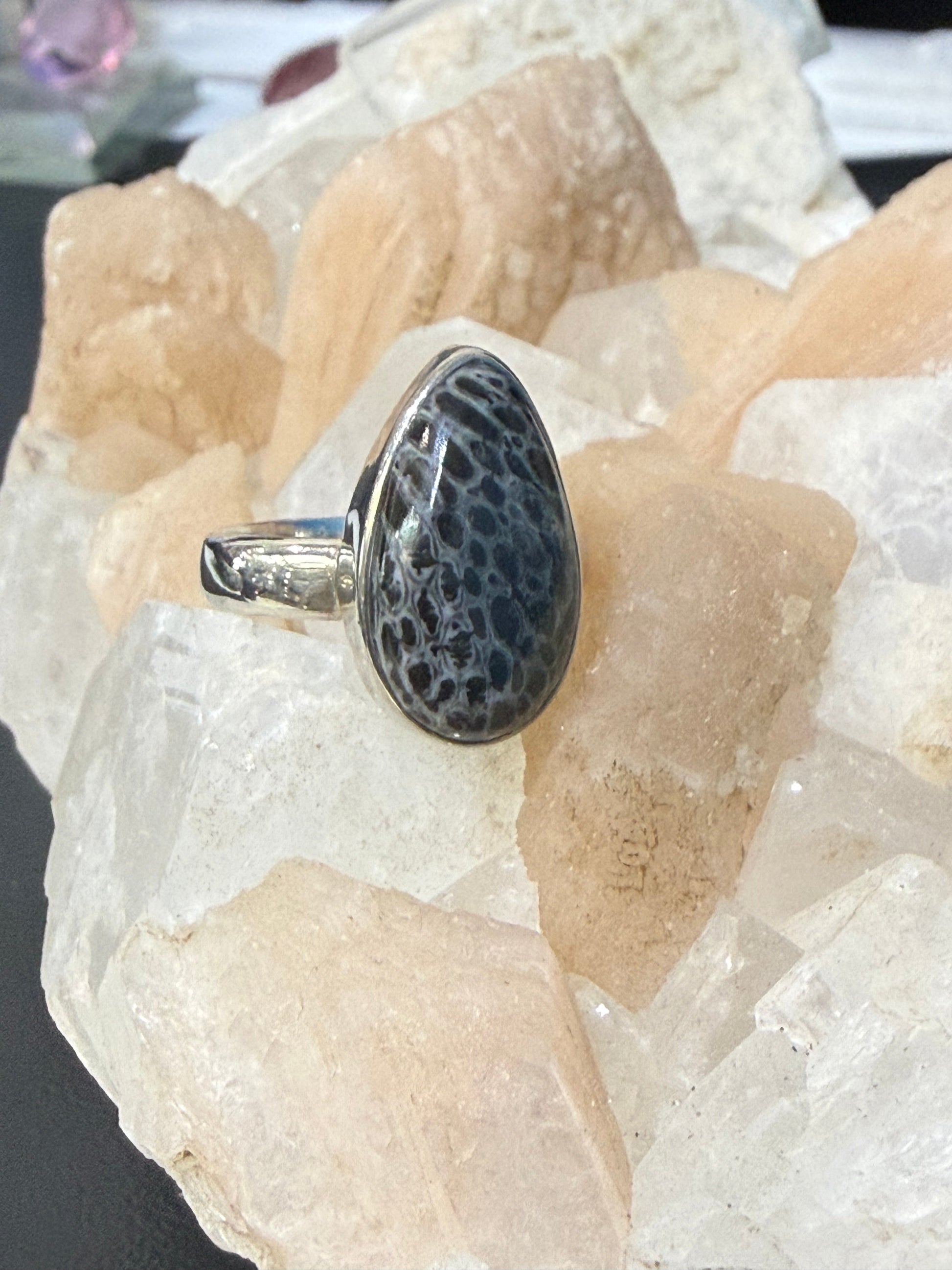 Black Coral Sterling Silver Ring – Size 6.5 Crystal Wellness