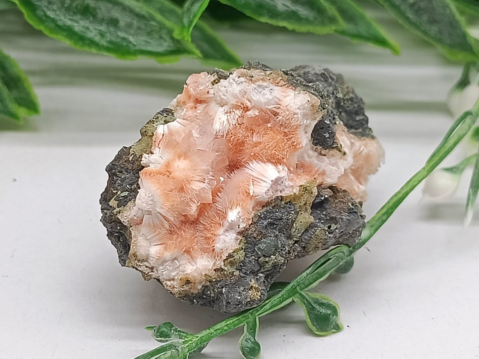 Orange Thomsonite with Mesolite Spikes AAA Grade 41x29x26mm Crystal Wellness
