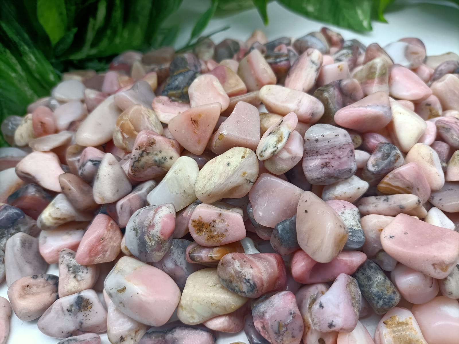 Pink Peruvian Opal Crystal Wellness