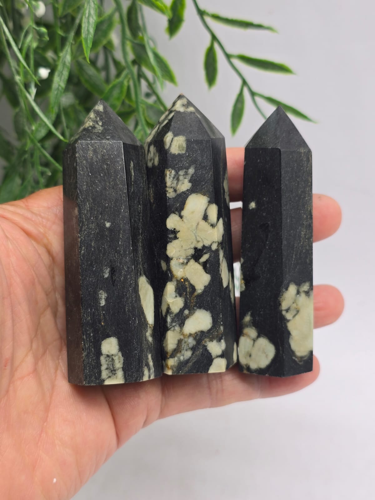 Plum Blossom Jasper Point Crystal Wellness