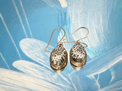 Black Coral Earrings – Protection, Inner Strength & Grounding, 20mmx12mm Crystal Wellness