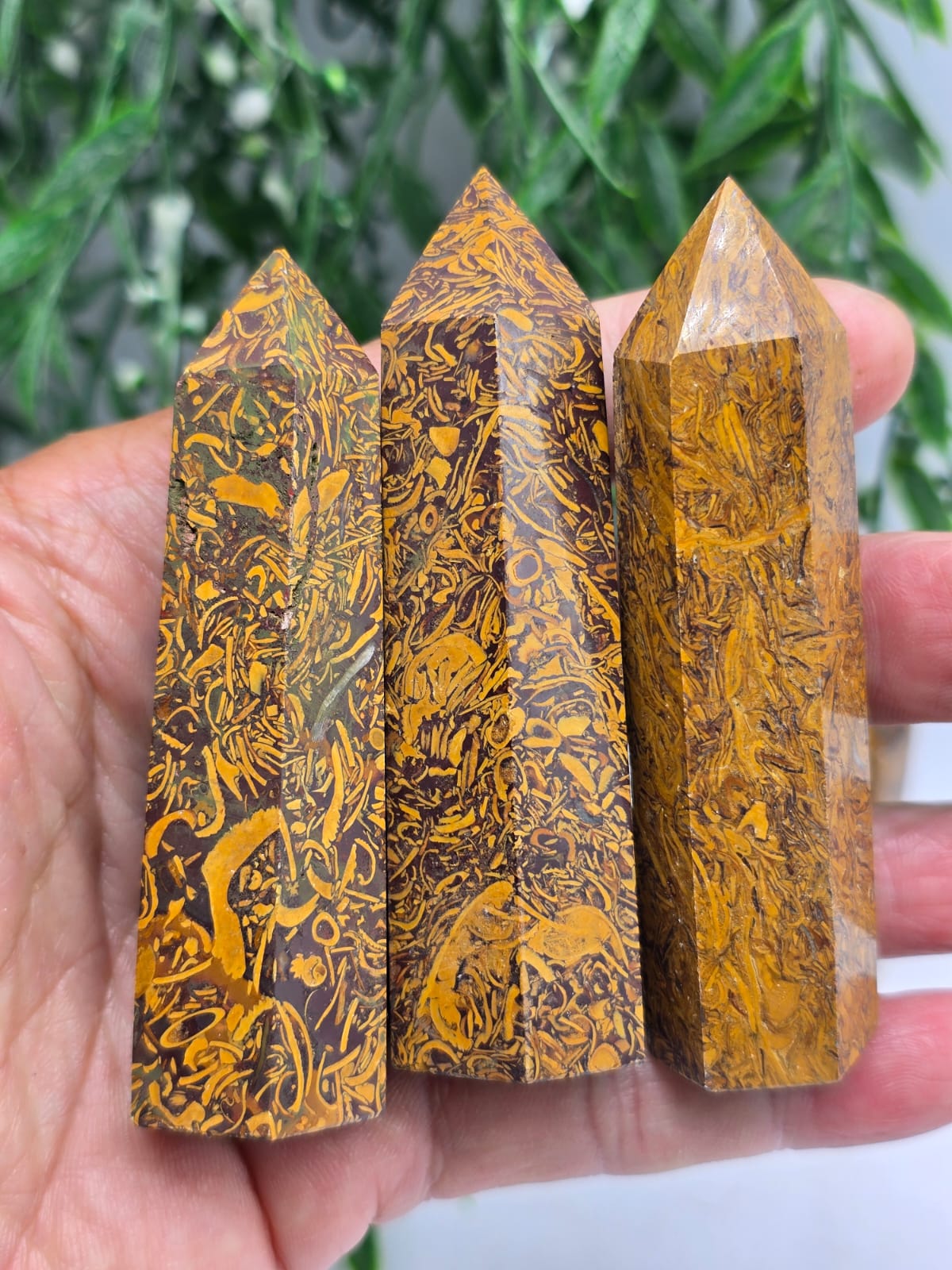 Elephant Jasper Point Crystal Wellness