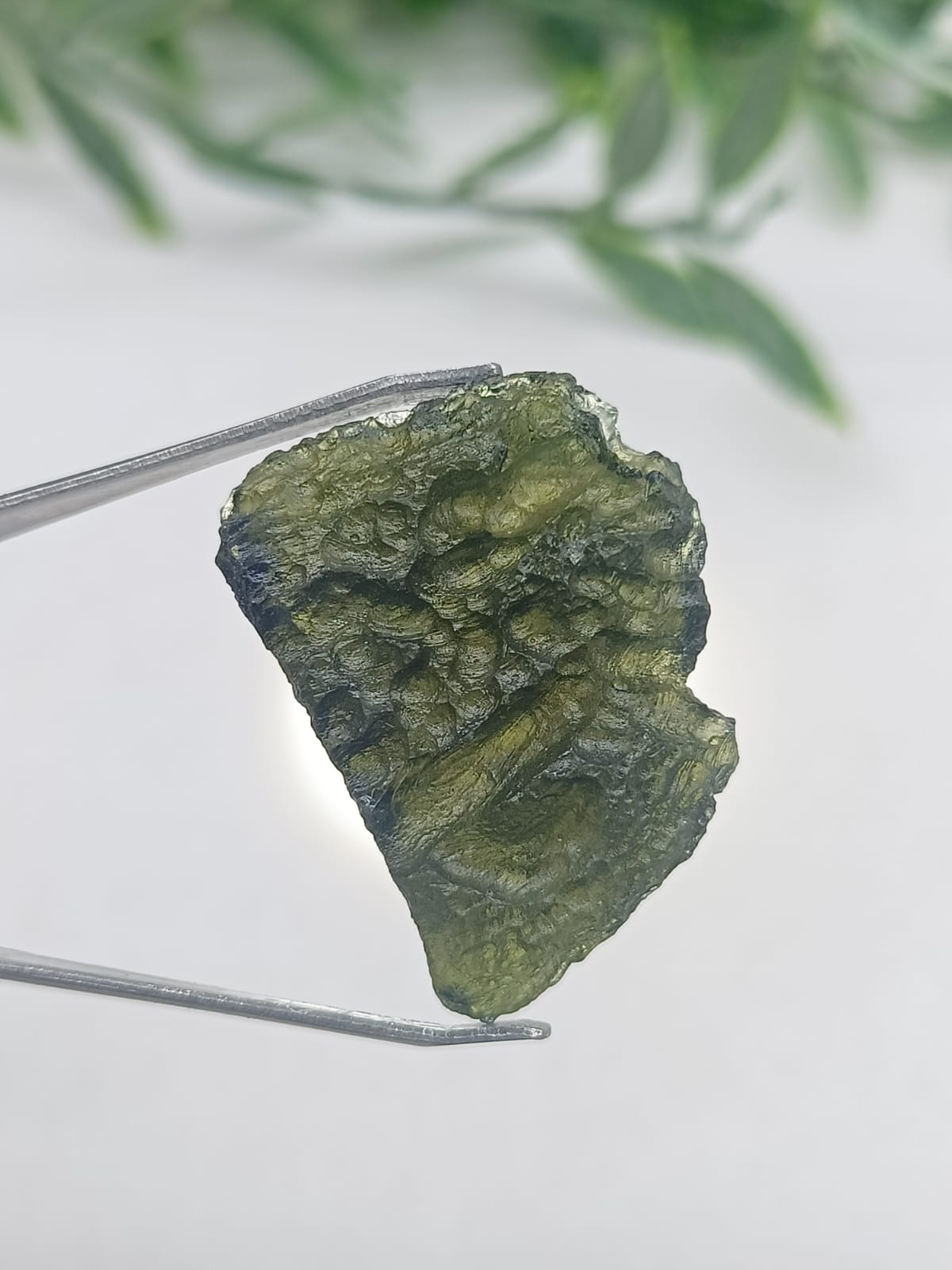 Authentic Moldavite 3.95g 41x15mm Crystal Wellness