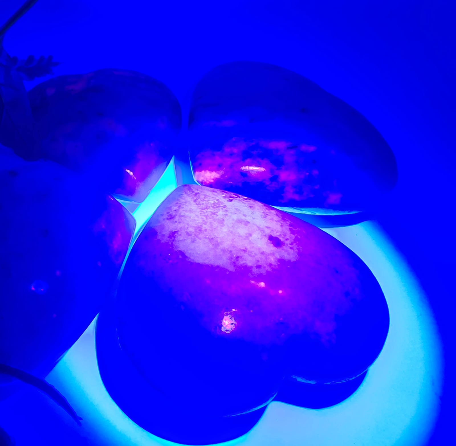 Hackmanite Heart Shape Crystal Wellness