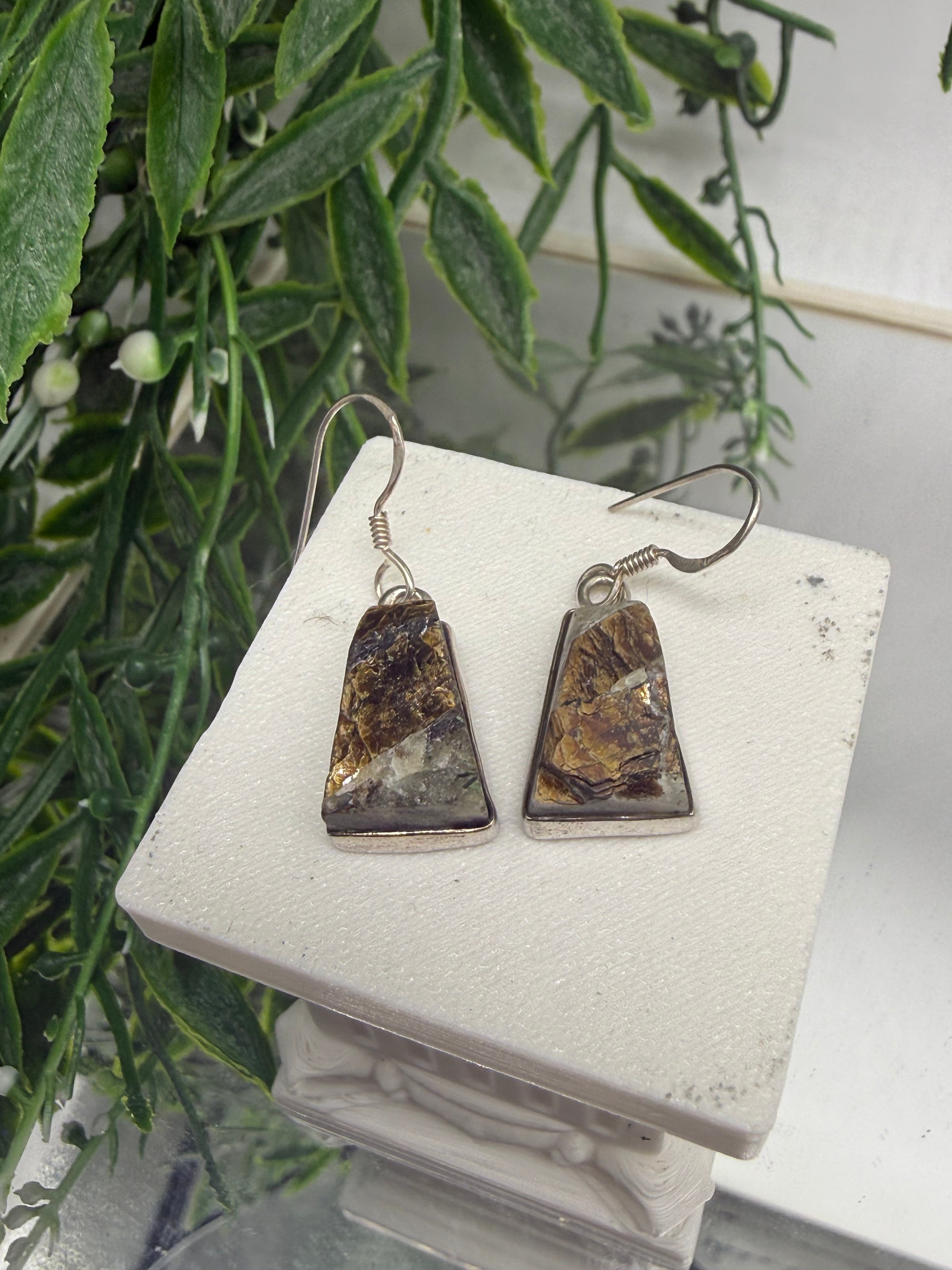 Astrophyllite Sterling Silver (92.5) Earrings Crystal Wellness