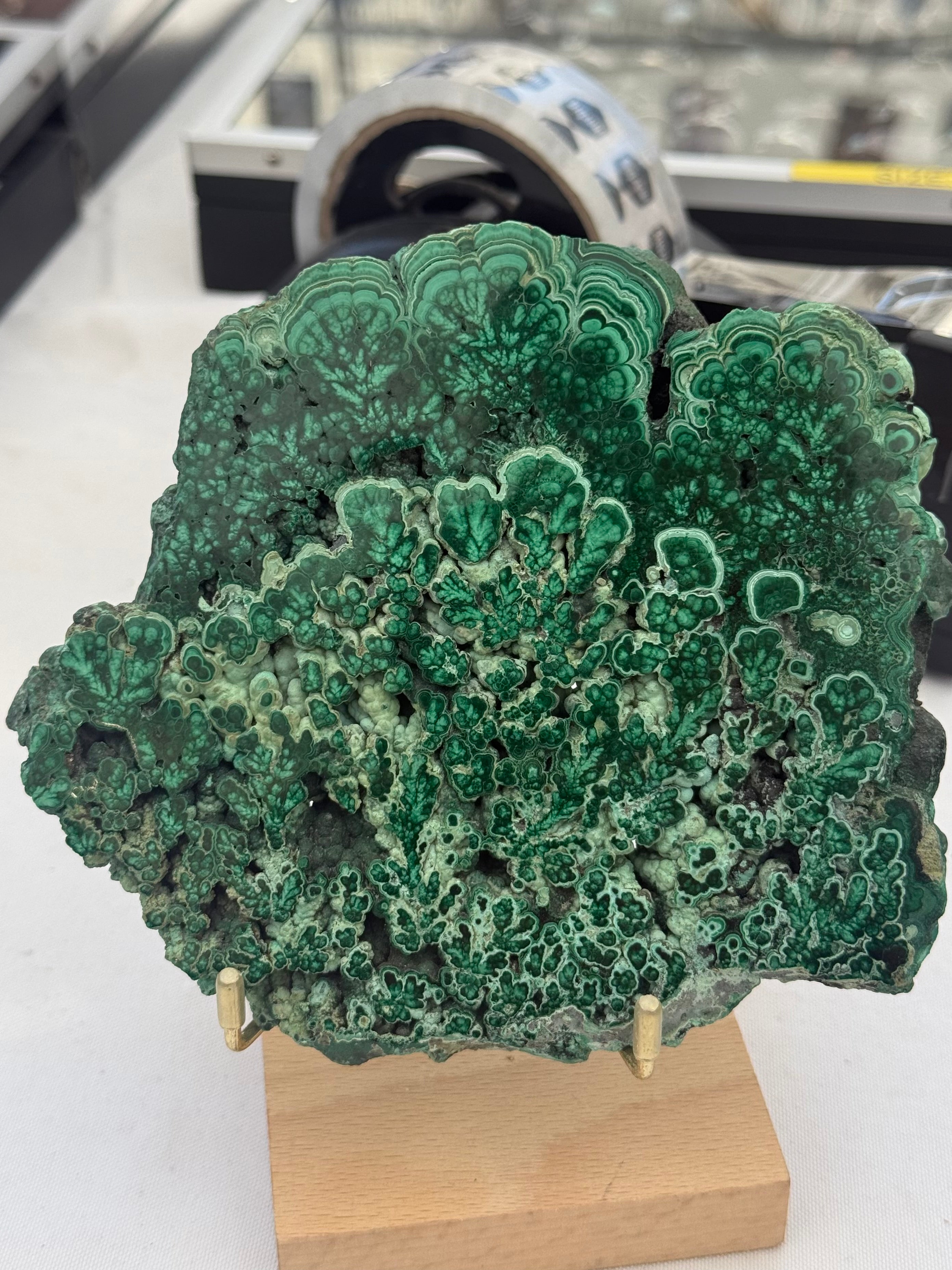 MALACHITE — “Stone of Transformation, Protection & Heart Healing”, 14cmx12cmx1cm Crystal Wellness