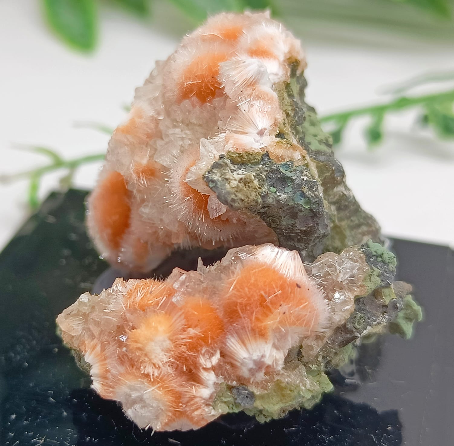 Orange Thomsonite with Mesolite Spikes AAA Grade 37x30x25mm Crystal Wellness