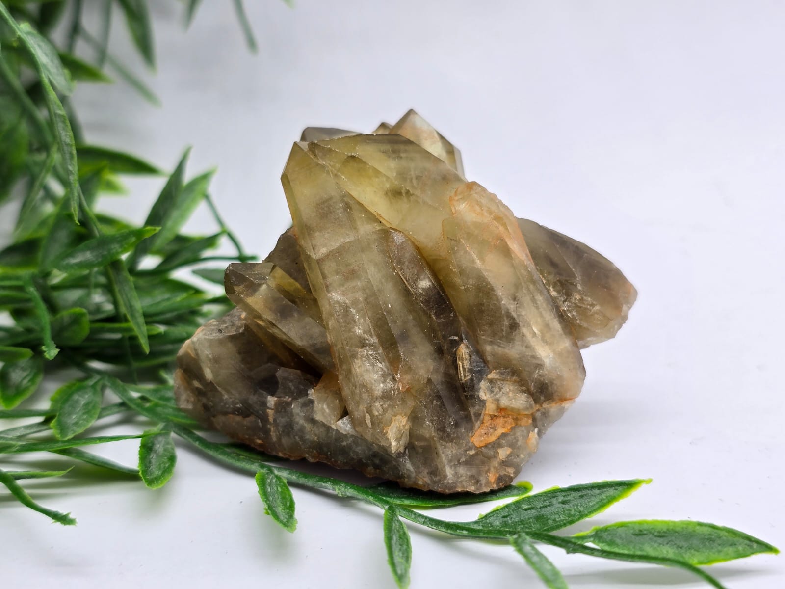 Citrine Cluster 0.253 Grams Crystal Wellness