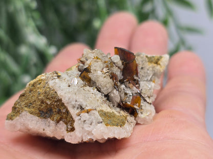 Rare Brookite Crystal 38g Crystal Wellness