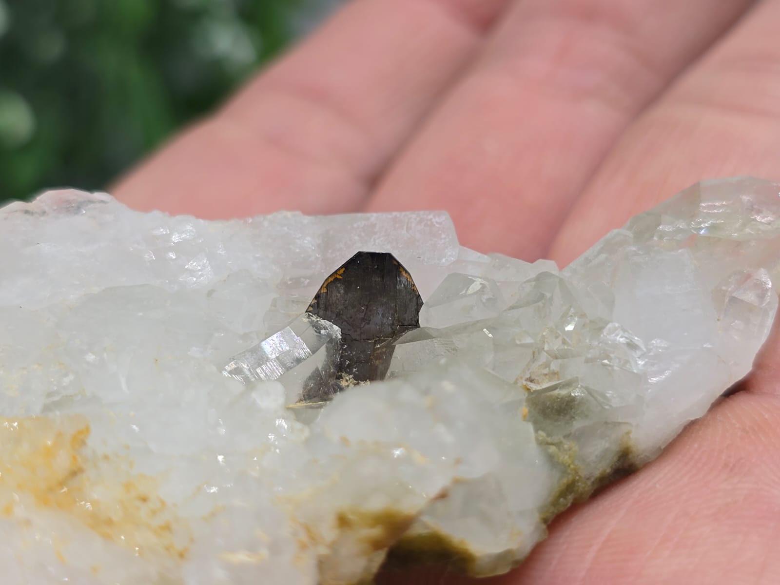 Rare Brookite Crystal 47g Crystal Wellness