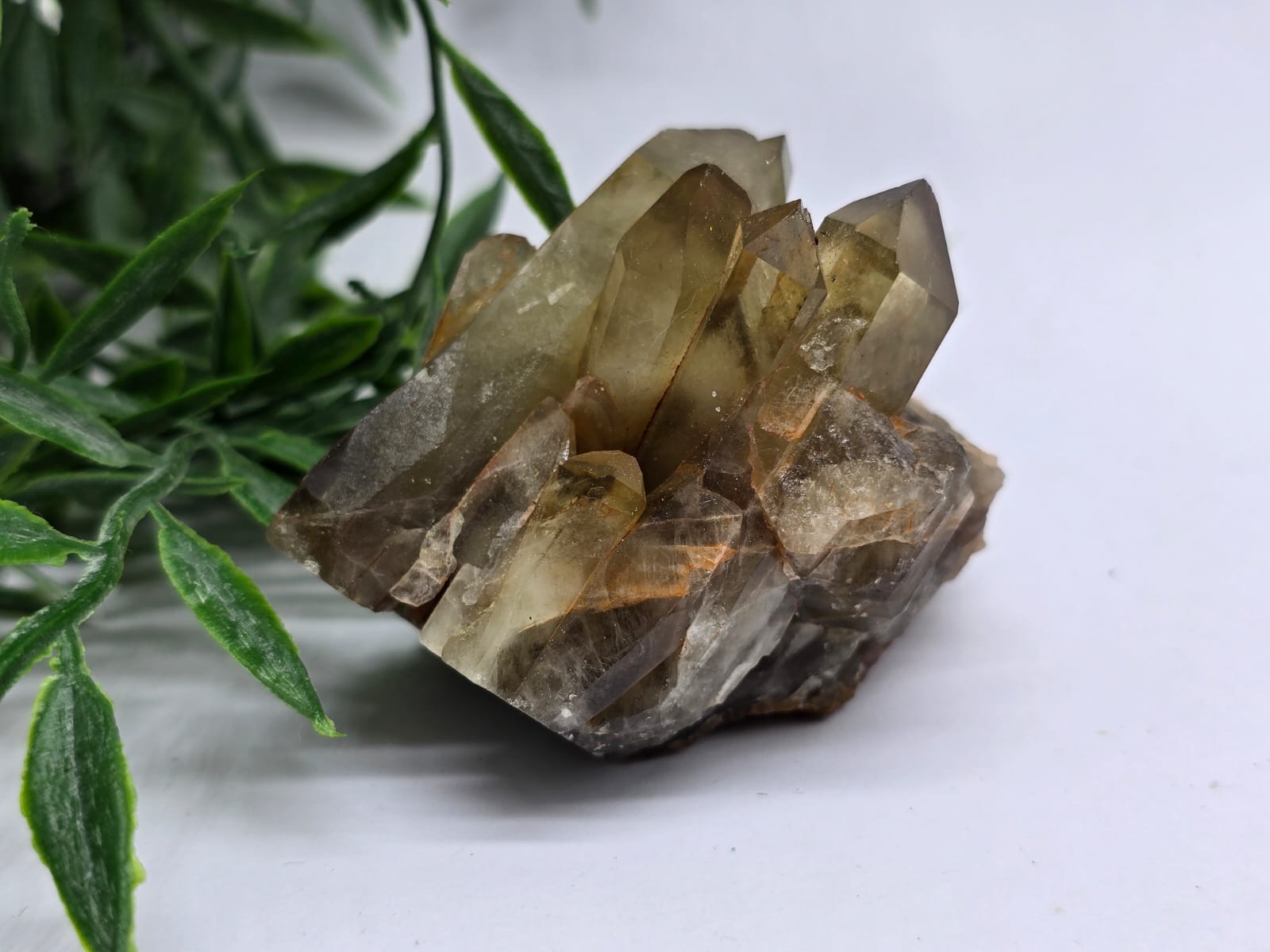 Citrine Cluster 0.253 Grams Crystal Wellness