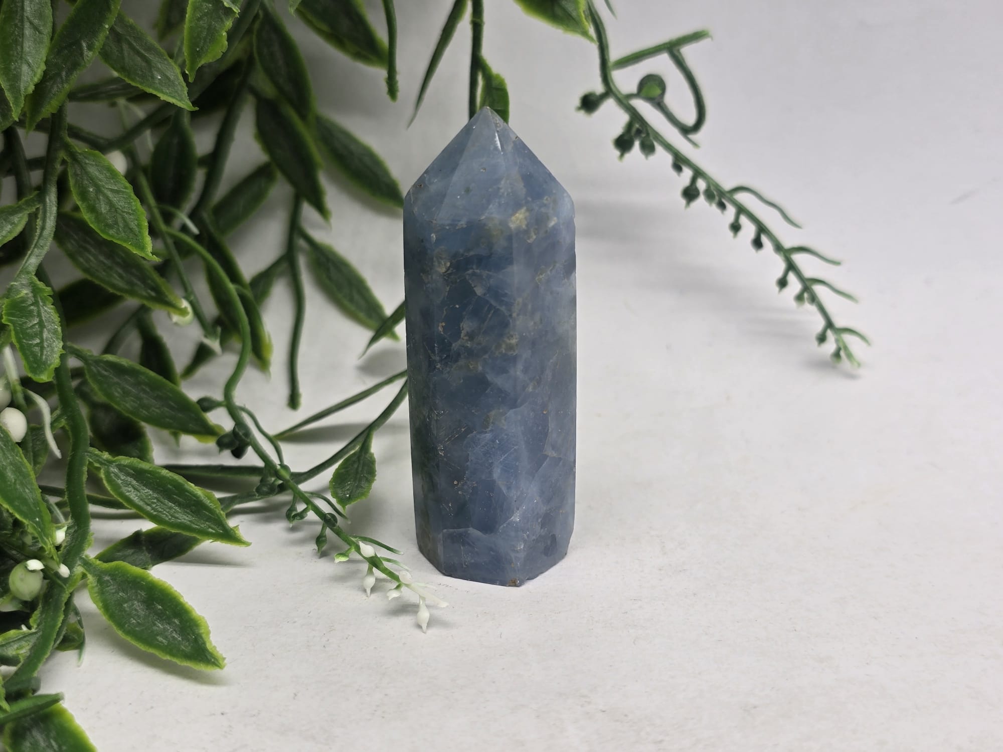 Celestite Point Crystal Wellness