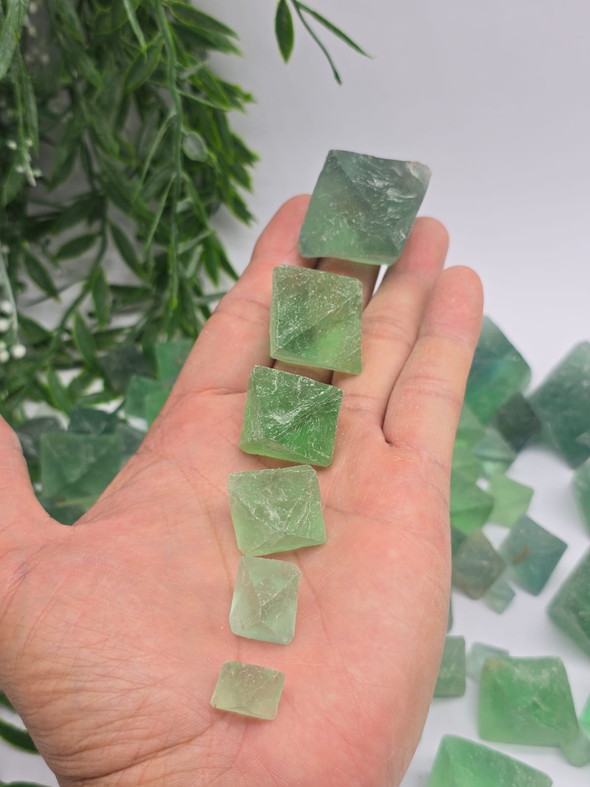 Fluorite Octahedron Crystal Wellness