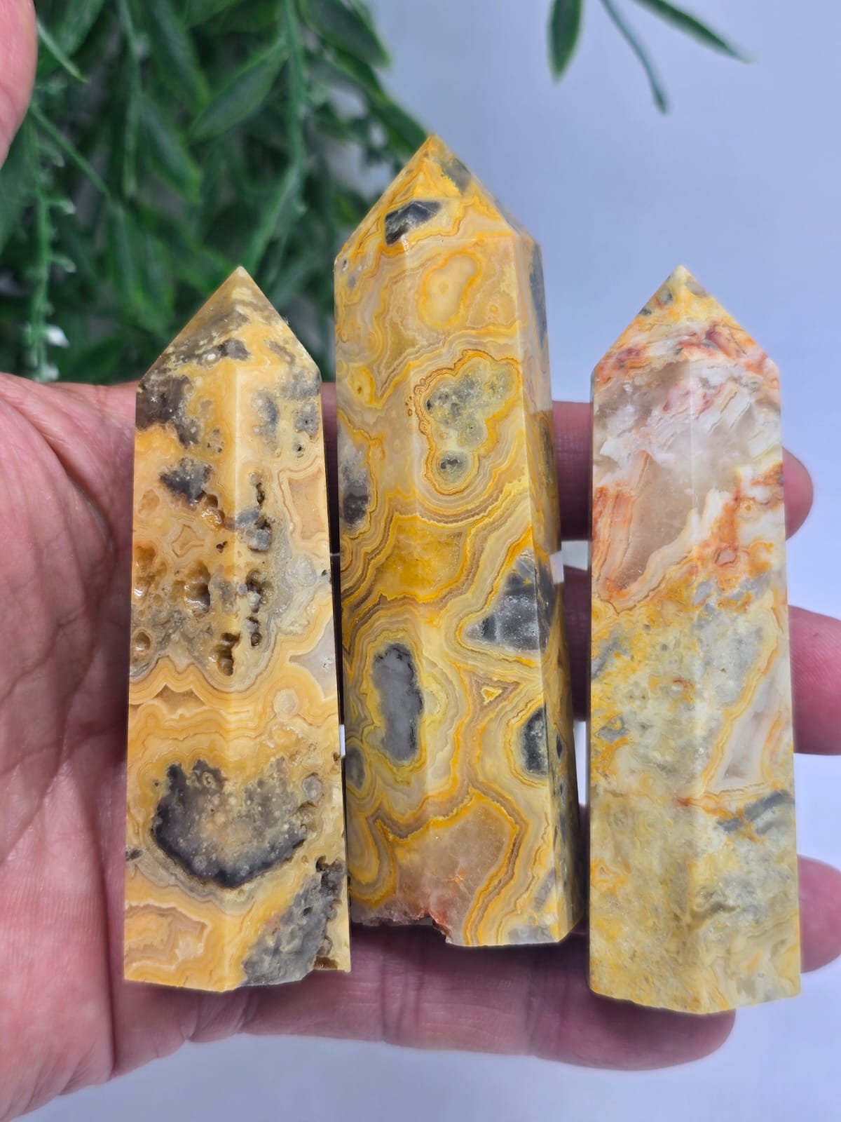 Crazy Lace Agate Point Crystal Wellness