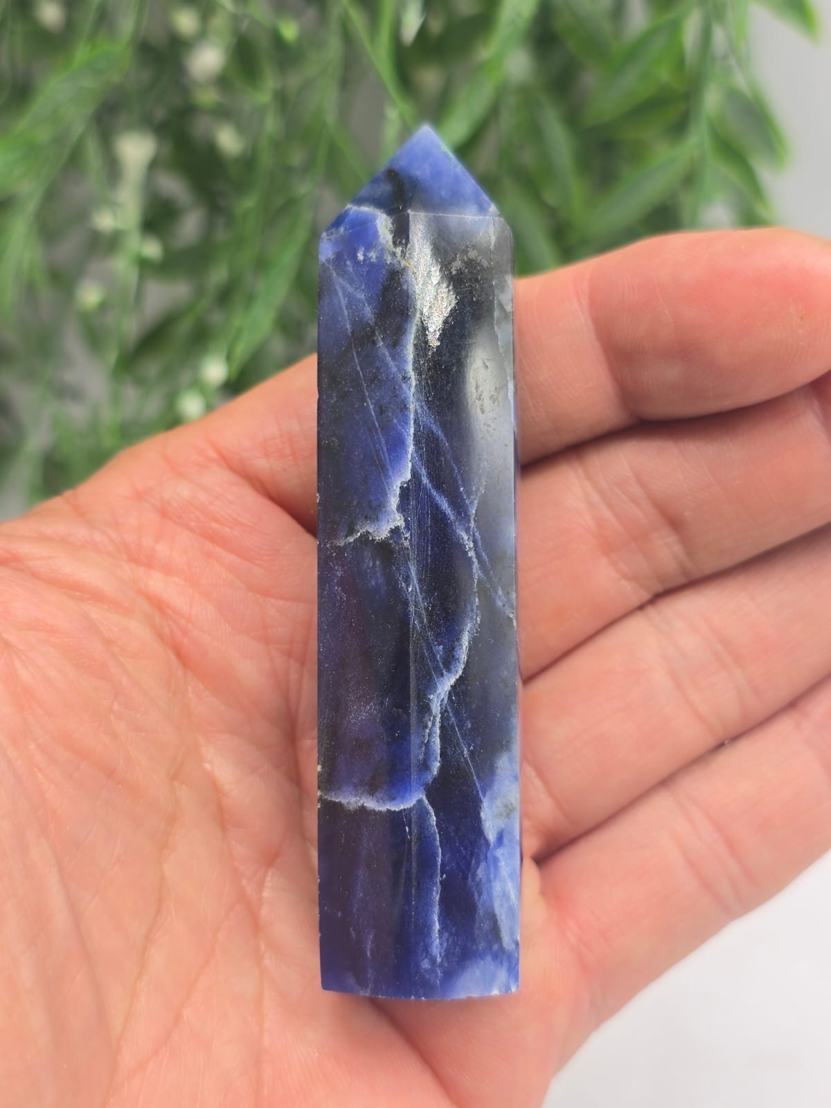 Sodalite Point Crystal Wellness