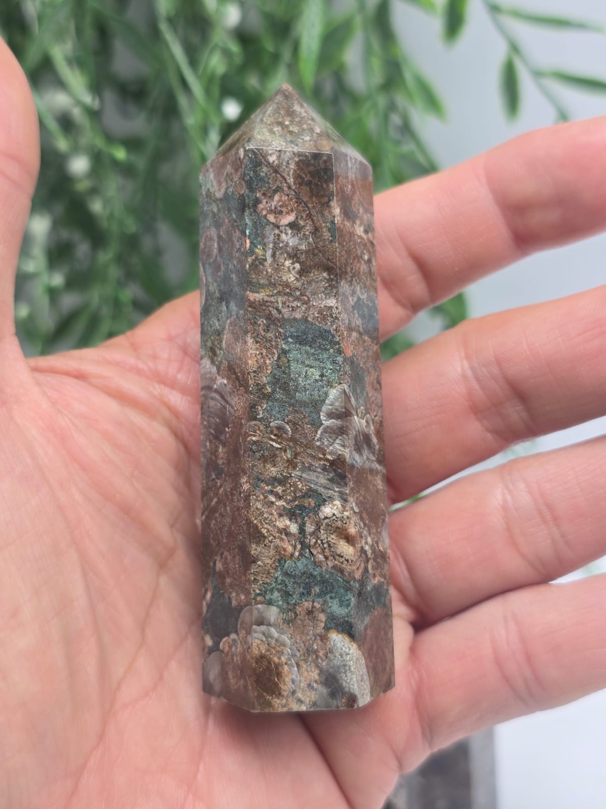 Fossil Agate Point Crystal Wellness