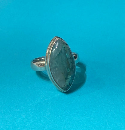 Quantum Quattro Silver Ring – Size 6 Crystal Wellness