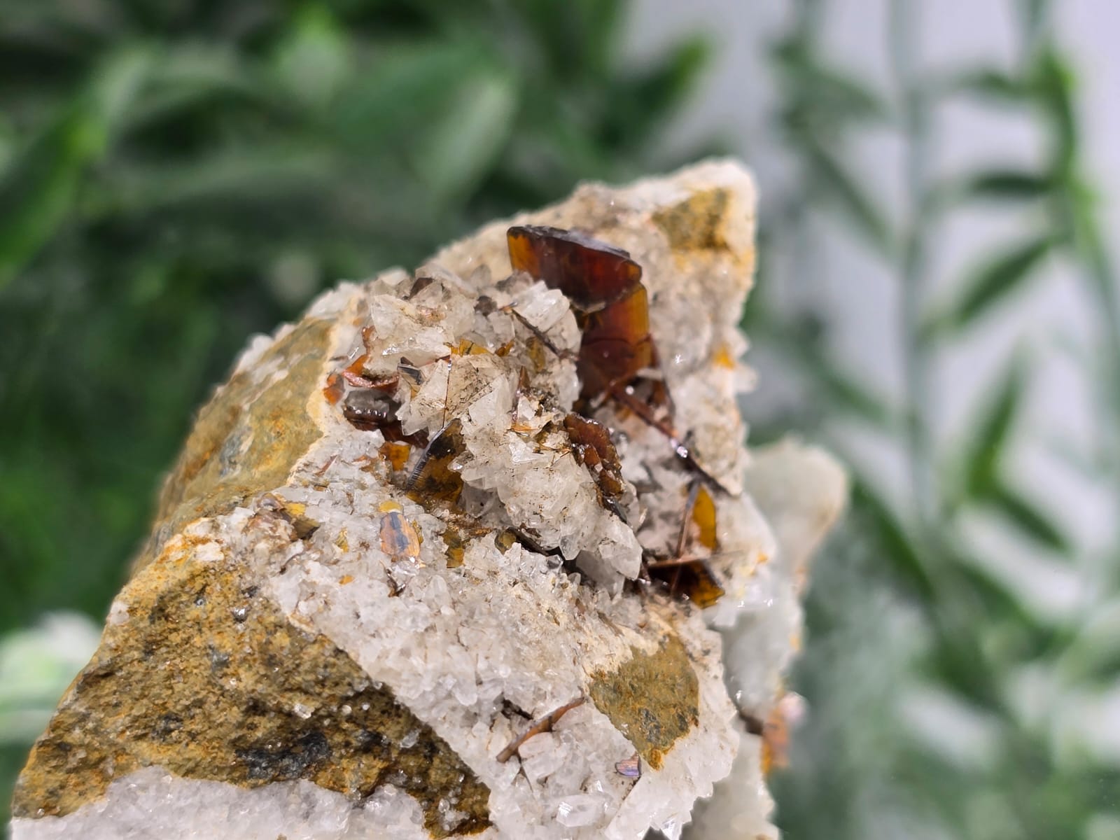 Rare Brookite Crystal 38g Crystal Wellness