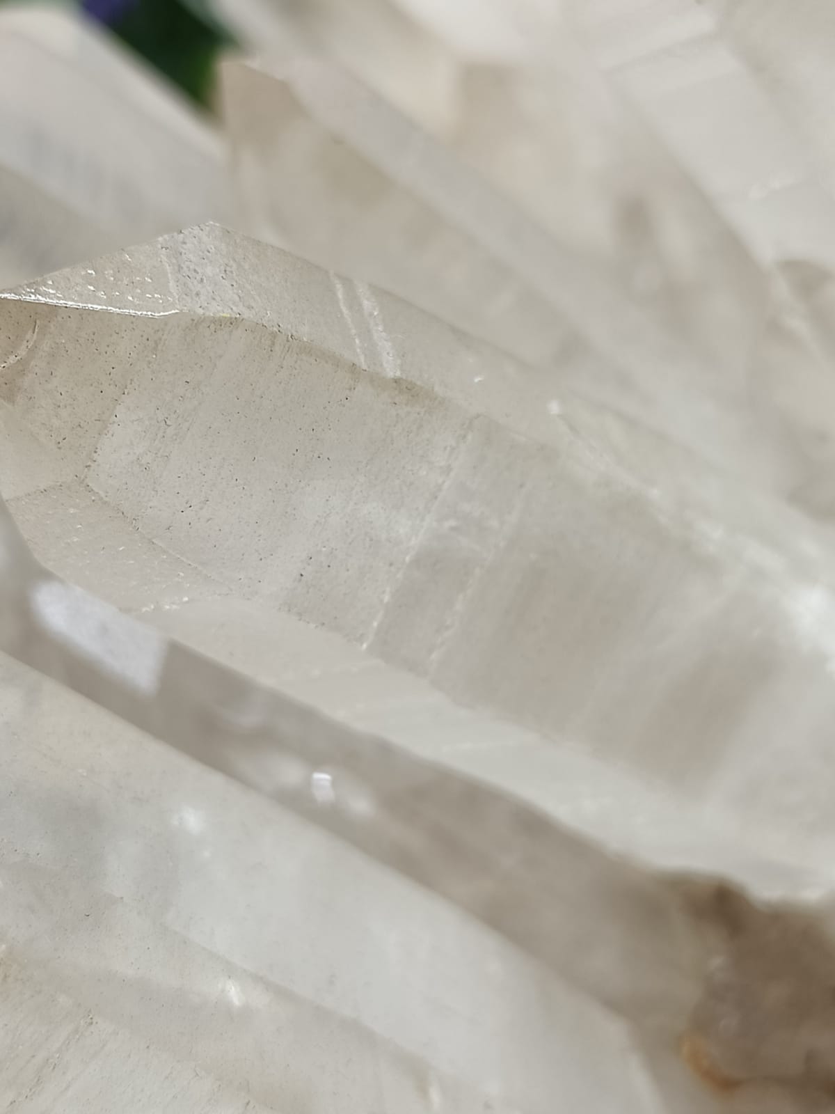 Lemurian Seeds Crystal AAA Grade Quality Extra Large Size 868g 220x65mm Crystal Wellness