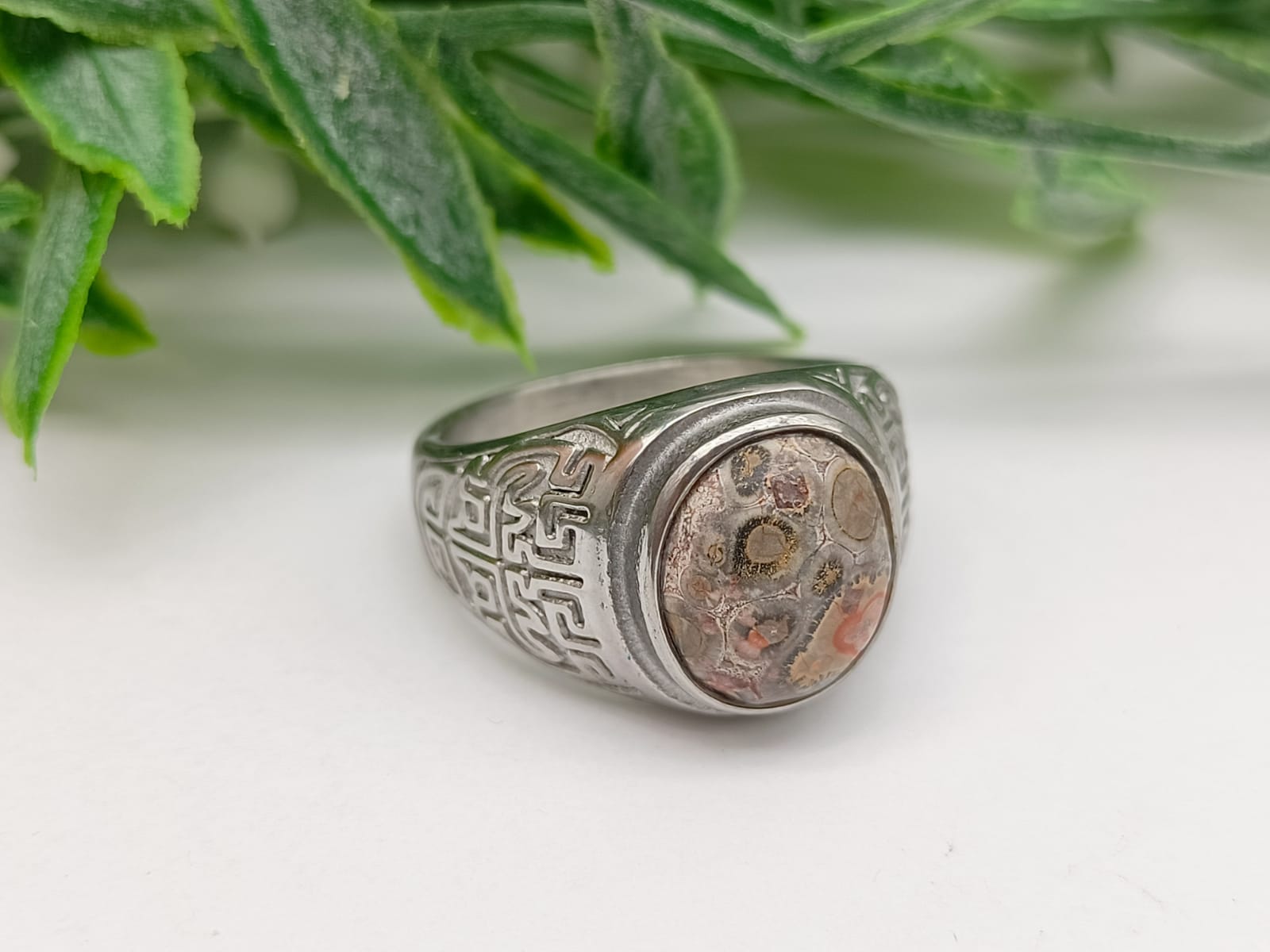 Leopard Jasper Titanium Ring Size 10 US Crystal Wellness