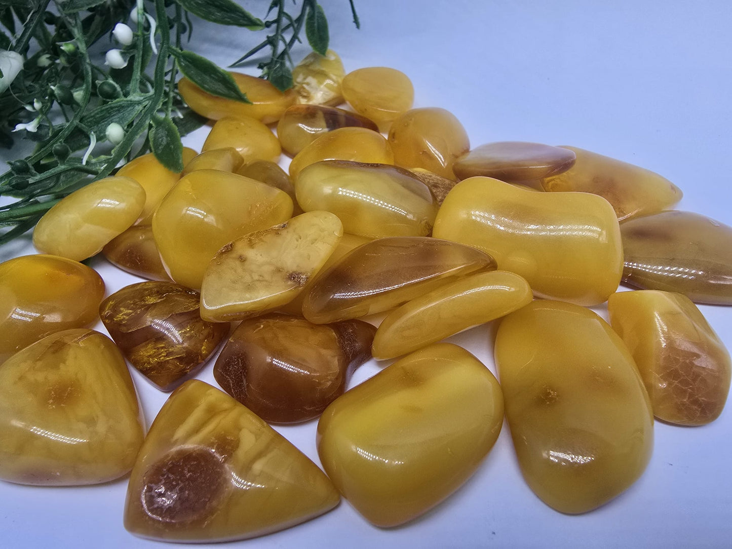 Butterscotch Amber Cabochon AAA Grade Crystal Wellness