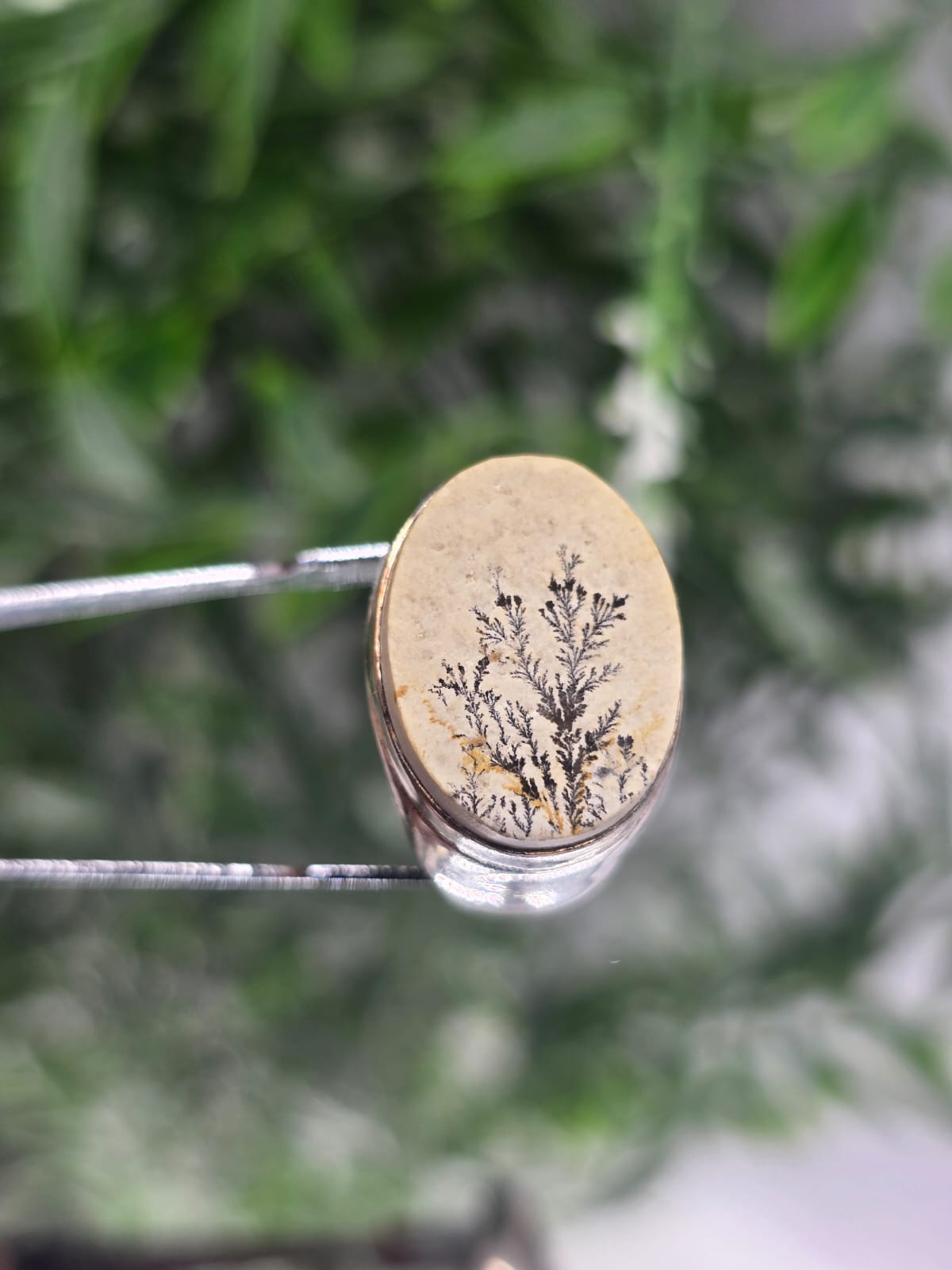 Scenic Agate Ring Size 9 Crystal Wellness