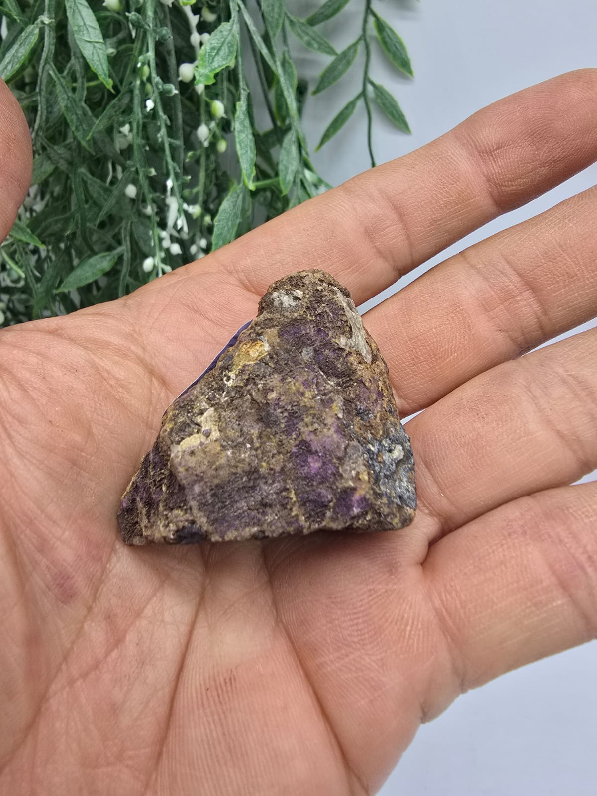 Purpurite Raw Crystal Wellness