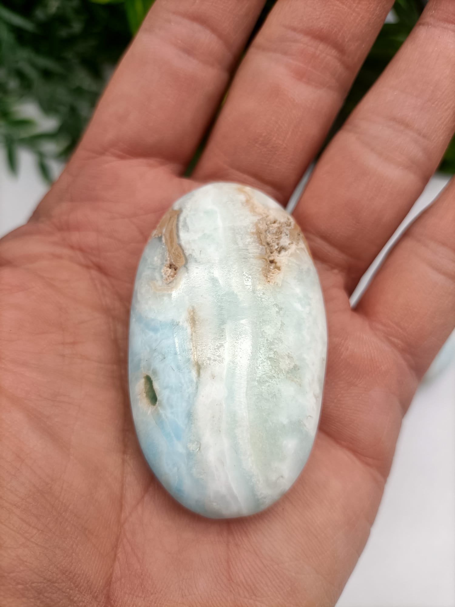 Caribbean Blue Calcite Palm Stone Crystal Wellness