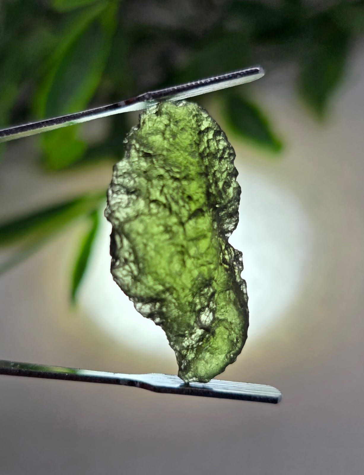 Authentic Moldavite 2.16g 26x13x6mm Crystal Wellness
